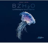 Bzh2o: La Bretagne sous-marine