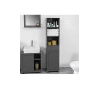 BZR17-DG Meuble Colonne de Salle de Bain Haute - L40cm x P35cm x H161cm (Gris Foncé)