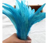 BZSDDY 40 Pièces de Plumes Colorées 25-30 cm - Plumes d'Autruche, Plumes de Coq et de Faisan pour Artisanat Créatif, Idéales pour Enfants et Décorations