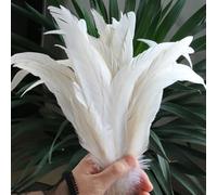 BZSDDY 40 Pièces de Plumes Colorées 25-30 cm - Plumes d'Autruche, Plumes de Coq et de Faisan pour Artisanat Créatif, Idéales pour Enfants et Décorations
