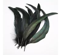 BZSDDY 40 Pièces de Plumes Colorées 25-30 cm - Plumes d'Autruche, Plumes de Coq et de Faisan pour Artisanat Créatif, Idéales pour Enfants et Décorations