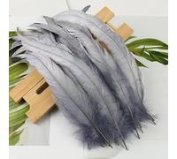 BZSDDY 40 Pièces de Plumes Colorées 25-30 cm - Plumes d'Autruche, Plumes de Coq et de Faisan pour Artisanat Créatif, Idéales pour Enfants et Décorations