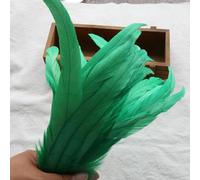 BZSDDY 40 Pièces de Plumes Colorées 25-30 cm - Plumes d'Autruche, Plumes de Coq et de Faisan pour Artisanat Créatif, Idéales pour Enfants et Décorations