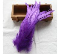 BZSDDY 40 Pièces de Plumes Colorées 25-30 cm - Plumes d'Autruche, Plumes de Coq et de Faisan pour Artisanat Créatif, Idéales pour Enfants et Décorations