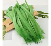 BZSDDY Plumes d'Autruche Colorées - 20 Pièces 25-30 cm, Plumes Teintes pour Artisanat, Plumes de Coq et de Faisan, Décorations Créatives pour Enfants et Loisirs Créatifs