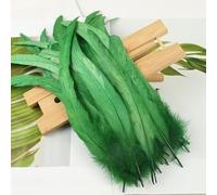 BZSDDY Plumes d'Autruche Colorées - 20 Pièces 25-30 cm, Plumes Teintes pour Artisanat, Plumes de Coq et de Faisan, Décorations Créatives pour Enfants et Loisirs Créatifs