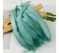 BZSDDY Plumes d'Autruche Colorées - 20 Pièces 25-30 cm, Plumes Teintes pour Artisanat, Plumes de Coq et de Faisan, Décorations Créatives pour Enfants et Loisirs Créatifs