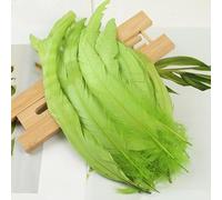 BZSDDY Plumes d'Autruche Colorées - 20 Pièces 25-30 cm, Plumes Teintes pour Artisanat, Plumes de Coq et de Faisan, Décorations Créatives pour Enfants et Loisirs Créatifs