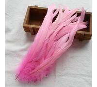 BZSDDY Plumes d'Autruche Colorées - 20 Pièces 25-30 cm, Plumes Teintes pour Artisanat, Plumes de Coq et de Faisan, Décorations Créatives pour Enfants et Loisirs Créatifs