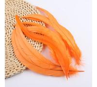 BZSDDY Plumes d'Autruche Colorées - 20 Pièces 25-30 cm, Plumes Teintes pour Artisanat, Plumes de Coq et de Faisan, Décorations Créatives pour Enfants et Loisirs Créatifs
