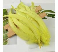 BZSDDY Plumes d'Autruche Colorées - 20 Pièces 25-30 cm, Plumes Teintes pour Artisanat, Plumes de Coq et de Faisan, Décorations Créatives pour Enfants et Loisirs Créatifs