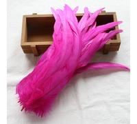 BZSDDY Plumes d'Autruche Colorées - 20 Pièces 25-30 cm, Plumes Teintes pour Artisanat, Plumes de Coq et de Faisan, Décorations Créatives pour Enfants et Loisirs Créatifs