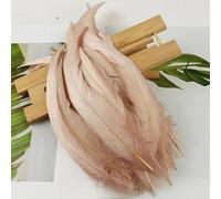 BZSDDY Plumes d'Autruche Colorées - 20 Pièces 25-30 cm, Plumes Teintes pour Artisanat, Plumes de Coq et de Faisan, Décorations Créatives pour Enfants et Loisirs Créatifs