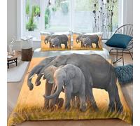 BZZOLASP Famille d'éléphants Linge de Lit Léger Microfibre résistante 3 Pièces 3D Effet Wildlife Photography Parure de Lit avec 2 Taies d'oreiller Hypoallergique for Chambre Enfants Double（200x200cm）