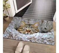 C,2'7"x3'11"/80x120cm,AVSMGP Tapis À Illusion D'optique 3D Enchanteur- Motif Chat Mignon Tapis D'entrée Carré À Poils Courts pour Intérieur/Extérieur Salon, Chambre, Salle À Manger