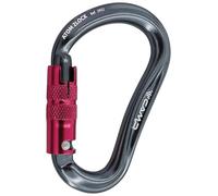 Camp Mousqueton HMS Atom 2Lock Rose TU