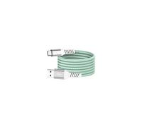 WE câble USB/USB-C magnétique, USB2,0-20V/3A 60W, 1mètre Vert