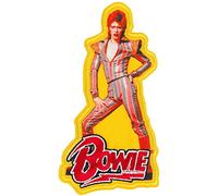 C&D Visionary David Bowie Patch Pose Noir Blanc