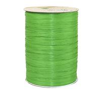 PRÄSENT C.E. Pattberg Rayon Raffia Vert Pomme Ruban en Raphia de Viscose, Bobine de 100 m de Cordon pour Emballage Cadeau, Fil de Décoration et Bricolage, Ruban Décoratif pour Présents