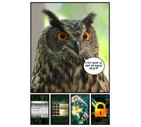 C’est quoi le mot de passe déjà: Carnet de mots de passe et identifiants internet alphabétique hibou. Répertoire à compléter au format A5 pour plus de 400 sites internet