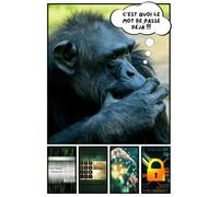 C’est quoi le mot de passe déjà: Carnet de mots de passe et identifiants internet alphabétique singe chimpanzé. Répertoire à compléter au format A5 pour plus de 400 sites internet