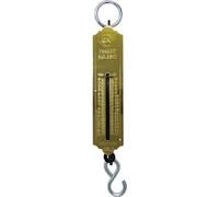 Calvin Klein Balance de poche C.K T6202 032 15 kg/32 lb