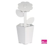 C.Kreul Fleur Joypac, En Carton Ondulé