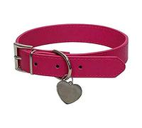 C Y P Collier avec Plaque d'identification - Taille M - Pets 2 - Gidget 1 unité 600 g