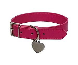 C Y P Collier avec Plaque d'identification - Taille M - Pets 2 - Gidget 1 unité 600 g