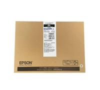 Epson - T01D - C13T01D100 - Cartouche d’encre noire, 50 000 pages