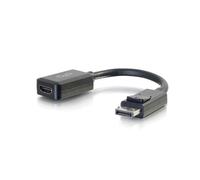8in DisplayPort to HDMI Adapter - DP to HDMI Adapter - 1080p - Black - M/F - Adaptateur vidéo - DisplayPort mâle pour HDMI femelle - 20.3 cm - blindé