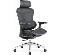 SIHOO Doro C300 Chaise de bureau ergonomique avec accoudoirs 3D ultra-doux, support lombaire dynamique et dossier réglable, pour bureau à domicile Noir