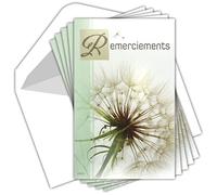 AFIE C5202 Remerciements Condoléances Lot 5 Cartes identiques + 5 Enveloppes Blanches Format 9x14cm Décès Obsèques Funérailles Deuil Fleur séchée Pissenlit Graines Semer Pochette Fabriqué en France