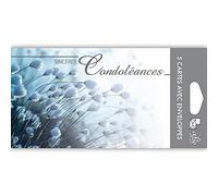 C5257 Sincères Condoléances Lot 5 Cartes identiques + 5 Enveloppes Blanches Format 9x14cm Décès Obsèques Funérailles Deuil linaigrettes jonc herbe à coton Gris Bleuté Pochette Fabriqué en France AFIE
