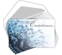 AFIE C5257X4 LOT 20 Cartes Remerciements Condoléances identiques + 20 Enveloppes Blanches Format 9x14cm - Deuil Décès Obsèques Enterrement Funérailles - Papier Mat de Qualité - Fabriquées en France