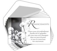 AFIE C5264 Remerciements Condoléances - Lot de 5 Cartes Identiques et Enveloppes Blanches - Format 9x14 cm - Texte Sympathie Décès Obsèques Funérailles Deuil Fleurs Séchées - Fabriquées en France