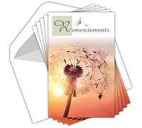 AFIE C5269 Remerciements Condoléances - Lot de 5 Cartes Identiques et Enveloppes Blanches - Format 9x14 cm - Décès Obsèques Deuil Fleur et Coucher de Soleil - Fabriquées en France
