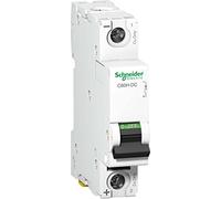 C60H-DC 1P 30A C 250Vdc