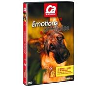 Ça M'intéresse, Vol 7 : Émotions Animales