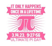 ça n'arrive qu'une fois dans une vie, le jour ultime du pi Stickers gravés 54.6x56.7cm Amovible sans laisser de colle Rose