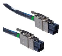 [CAB-SPWR-30CM] CISCO CAB-SPWR-30CM Câble d'alimentation 30 cm