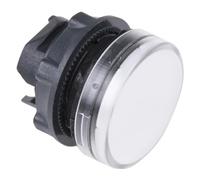 CABEZA PIL LUM LED BLANCO