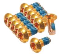 Cabilock 1 boîte Vis de Frein VTT Acier Titane Boîte de Dorées Résistantes Corrosion et Haute Température Compatibles avec Disques pour Vélos Route Vélos Électriques et Tout-Terrain