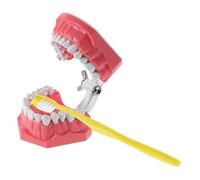 Cabilock 1 Ensemble Modèle Éducatif de Brossage pour Garçon Fille de Dents Réalistes Outil Enseignement Oral pour Écoles