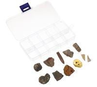 Cabilock 10 pièces Kit Paléontologie Spécimens Fossiles Biologiques Décoration de Bureau avec Trilobite Ambre Conque Naturel Collection Scientifique