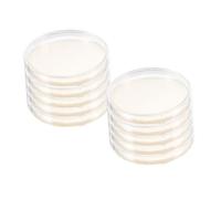 Cabilock 10 pièces Plaques Gélose Prêtes à pour Laboratoire Boîtes Pétri Compactes et Légères pour Projets Scientifiques et Analyses Biologiques