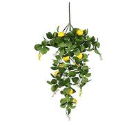 Cabilock 10 Pièces Simulation Rotin Citron Corbeille à Fruits en Or Couronne De Citron Branches De Citronnier Olivier Décor De Citron Fruits Artificiels Trèfle Artificiel Green Plastique