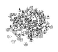 Cabilock 100 pièces Goujons de Pneus Alliage Aluminium Dérapants pour Neige Accessoires pour Voiture Amélioration Sécurité Conçus pour Usage Tout