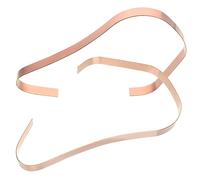 Cabilock 2 Pièces Support de Présentoir pour Chaussures Acier Inoxydable Lot de Supports pour Talons Hauts et Sandales Design Courbé pour Maintien Optimal Étagère Pratique pour Magasins et