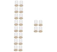 Cabilock 20 Ensembles Cloche Verre Miniature pour Fleurs Plateau Décoration pour Mini et Maison de Poupées